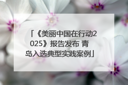 《美丽中国在行动2025》报告发布 青岛入选典型实践案例