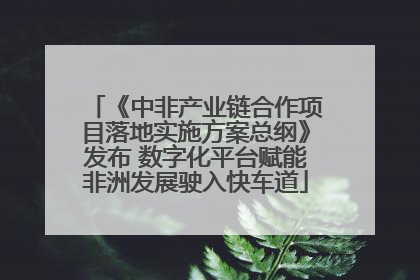 《中非产业链合作项目落地实施方案总纲》发布 数字化平台赋能非洲发展驶入快车道