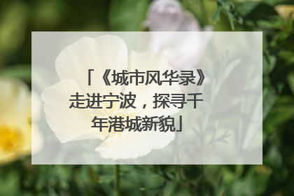 《城市风华录》走进宁波，探寻千年港城新貌