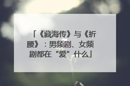 《藏海传》与《折腰》：男频剧、女频剧都在“爱”什么