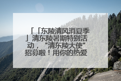 「东陵清风消夏季」清东陵暑期特别活动，“清东陵大使”招募啦！用你的热爱守护世界遗产！