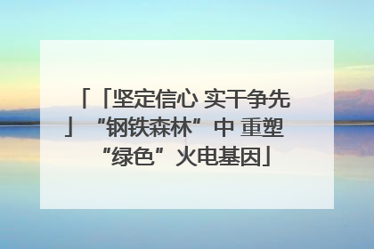 「坚定信心 实干争先」“钢铁森林”中 重塑“绿色”火电基因