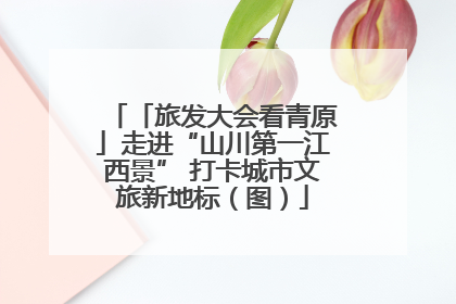 「旅发大会看青原」走进“山川第一江西景” 打卡城市文旅新地标（图）