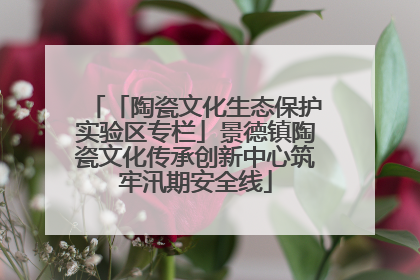 「陶瓷文化生态保护实验区专栏」景德镇陶瓷文化传承创新中心筑牢汛期安全线
