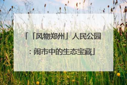 「风物郑州」人民公园：闹市中的生态宝藏