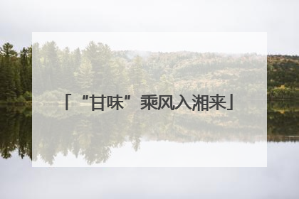“甘味”乘风入湘来