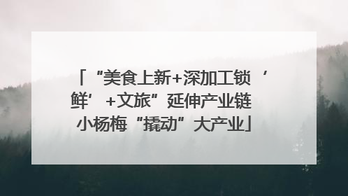 “美食上新+深加工锁‘鲜’+文旅”延伸产业链 小杨梅“撬动”大产业