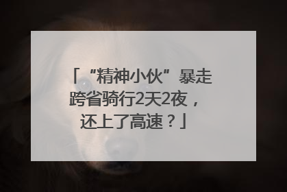 “精神小伙”暴走跨省骑行2天2夜，还上了高速？