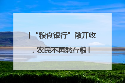 “粮食银行”敞开收，农民不再愁存粮