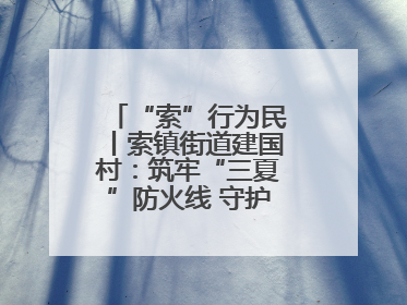 “索”行为民丨索镇街道建国村：筑牢“三夏”防火线 守护小麦丰收成果