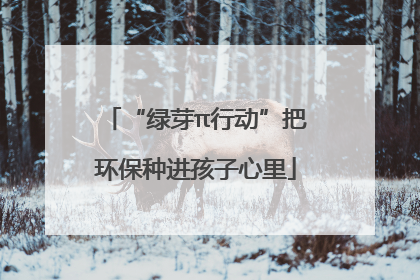 “绿芽π行动”把环保种进孩子心里
