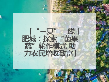 “三夏”一线丨肥城：探索“菌果蔬”轮作模式 助力农民增收致富