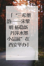 “三希墨韵——宋黎明 杨稳新 丹萍水墨小品展”在西安举办