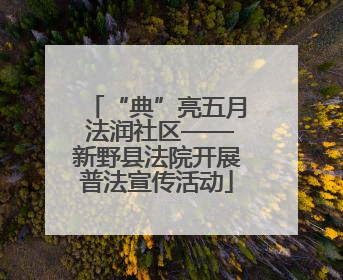 “典”亮五月 法润社区——新野县法院开展普法宣传活动