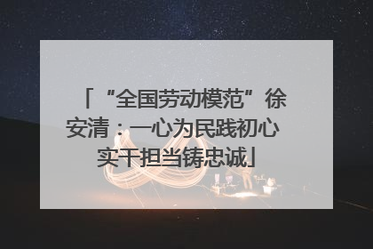 “全国劳动模范”徐安清：一心为民践初心 实干担当铸忠诚
