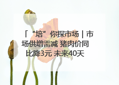 “培”你探市场｜市场供增需减 猪肉价同比降3元 未来40天便宜猪肉敞开吃