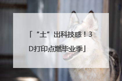 “土”出科技感！3D打印点燃毕业季