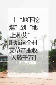 “地下挖煤”到“地上种艾”，肥城这个村艾草产业收入破千万
