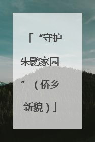 “守护朱鹮家园”（侨乡新貌）