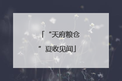 “天府粮仓”夏收见闻