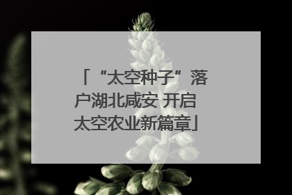 “太空种子”落户湖北咸安 开启太空农业新篇章