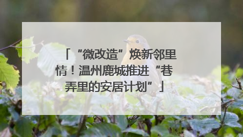 “微改造”焕新邻里情！温州鹿城推进“巷弄里的安居计划”
