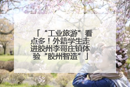 “工业旅游”看点多！外籍学生走进胶州李哥庄镇体验“胶州智造”