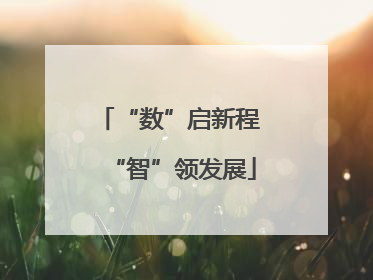 “数”启新程 “智”领发展