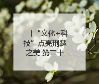 “文化+科技”点亮荆楚之美 第二十一届深圳文博会湖北馆抢“鲜”看