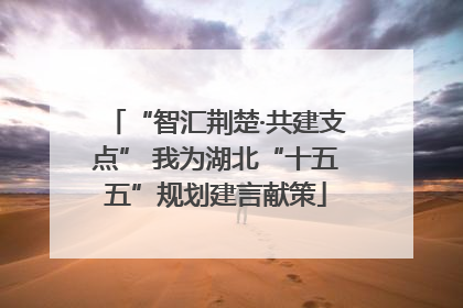 “智汇荆楚·共建支点” 我为湖北“十五五”规划建言献策