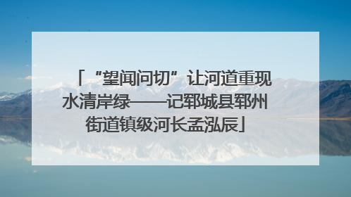 “望闻问切”让河道重现水清岸绿——记郓城县郓州街道镇级河长孟泓辰
