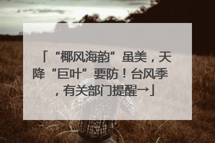 “椰风海韵”虽美，天降“巨叶”要防！台风季，有关部门提醒→