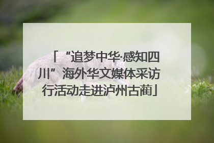 “追梦中华·感知四川”海外华文媒体采访行活动走进泸州古蔺