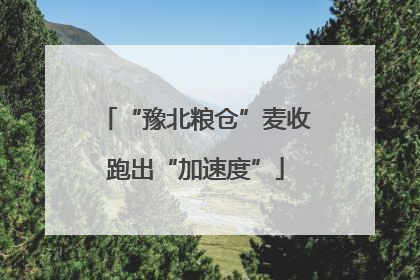 “豫北粮仓”麦收跑出“加速度”
