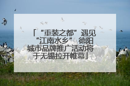 “重装之都”遇见“江南水乡” 德阳城市品牌推广活动将于无锡拉开帷幕