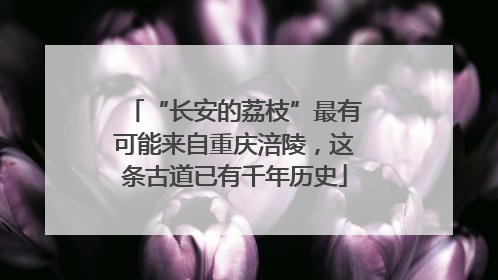 “长安的荔枝”最有可能来自重庆涪陵，这条古道已有千年历史