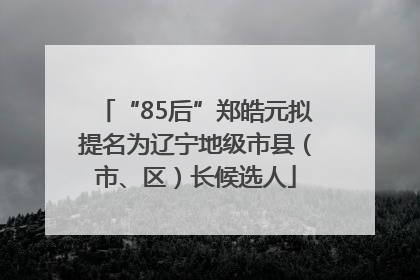 “85后”郑皓元拟提名为辽宁地级市县（市、区）长候选人