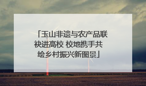 玉山非遗与农产品联袂进高校 校地携手共绘乡村振兴新图景