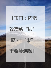 玉门：拓宽致富新“柿”路 挂“果”丰收笑满颜