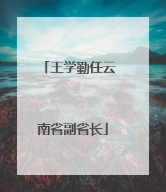 王学勤任云南省副省长