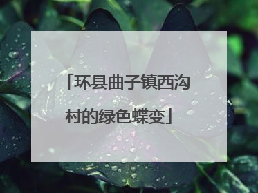 环县曲子镇西沟村的绿色蝶变