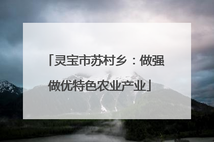 灵宝市苏村乡：做强做优特色农业产业