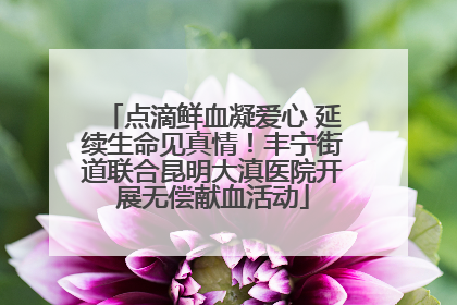 点滴鲜血凝爱心 延续生命见真情！丰宁街道联合昆明大滇医院开展无偿献血活动