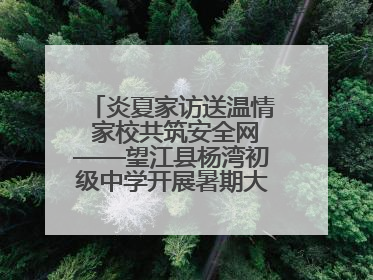 炎夏家访送温情 家校共筑安全网——望江县杨湾初级中学开展暑期大家访活动