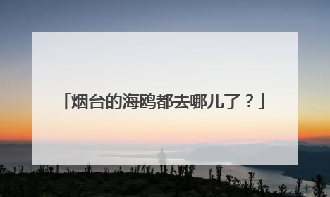 烟台的海鸥都去哪儿了？