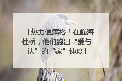 热力值满格！在临海杜桥，他们跑出“爱与法”的“家”速度
