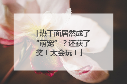 热干面居然成了“萌宠”？还获了奖！太会玩！