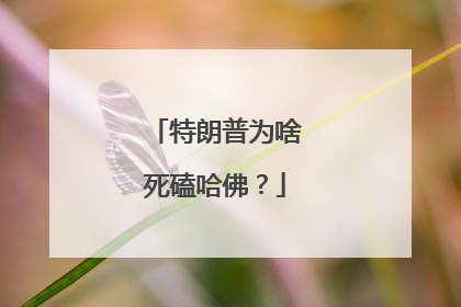 特朗普为啥死磕哈佛？