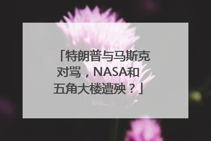 特朗普与马斯克对骂，NASA和五角大楼遭殃？