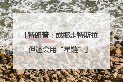 特朗普：或挪走特斯拉 但还会用“星链”